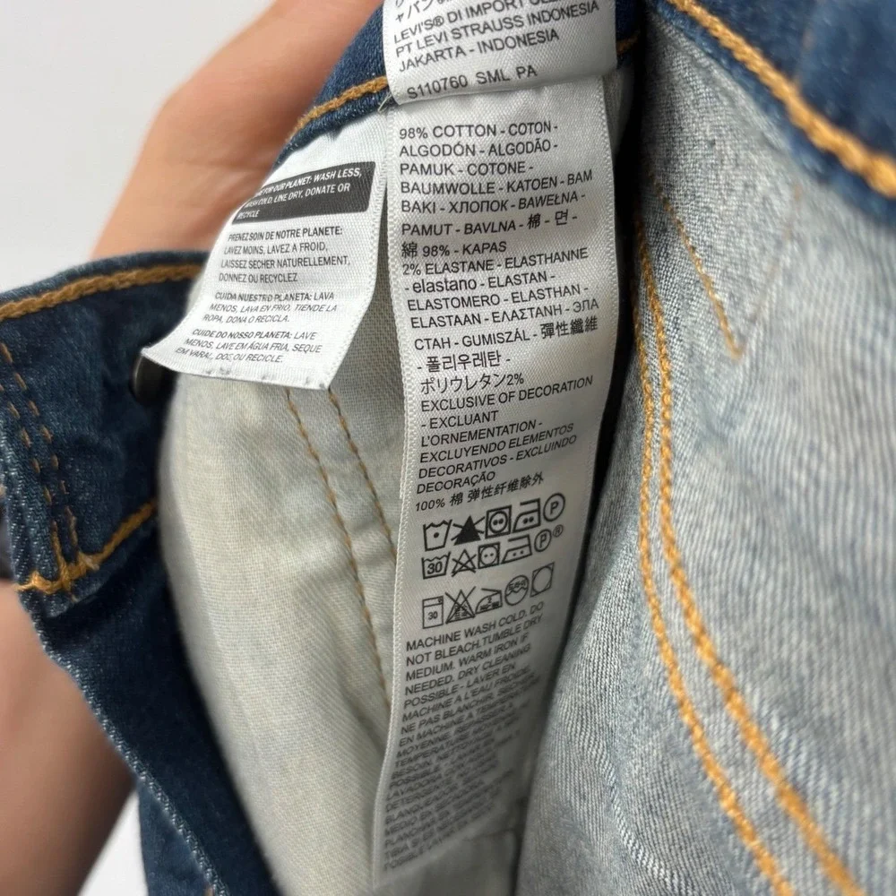 Levis levi 541